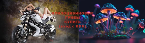 гашиш Богородицк