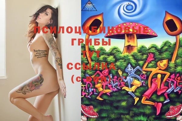 кокс Беломорск
